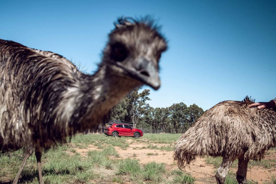 The best eco-friendly road-trip in NSW | Gallery 3