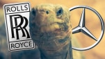 Rolls-Royce and Mercedes are now older than your average Galapagos tortoise