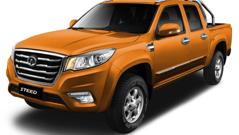 GWM Steed 2021