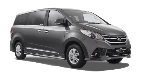 LDV G10