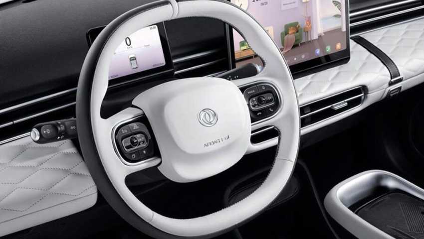 Dongfeng Nammi Box