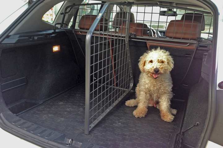 Dog Car Barrier The Best Cargo Divider for Your Car Car Advice CarsGuide