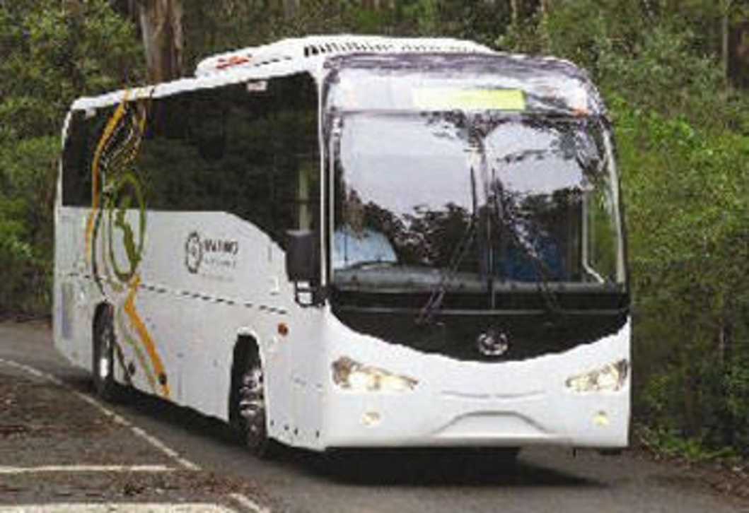 Chinese-made buses are now available in Australia.