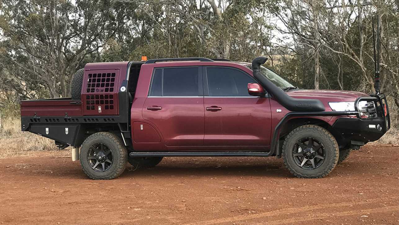 Dog Cage for Ute What Dog Box Should I Buy for my Ute CarsGuide
