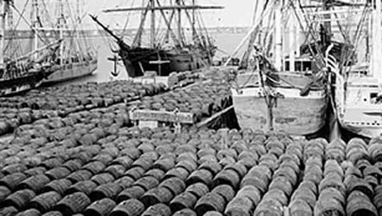 By the 1960s, around 30 million pounds of Sperm oil were being used each year. (image credit: cherrybalmz.com)
