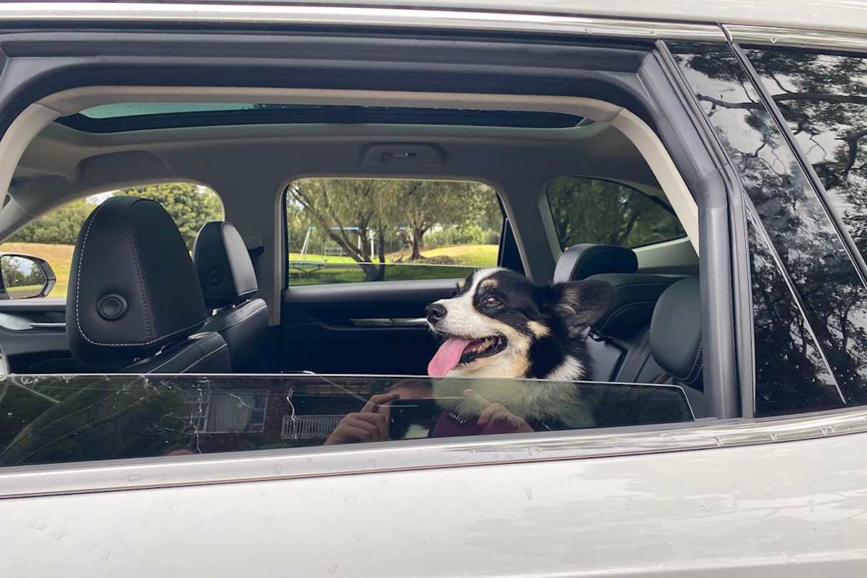 I’m yet to hear the corgi complain about rear-seat leg room even once. (image: Andrew Chesterton)
