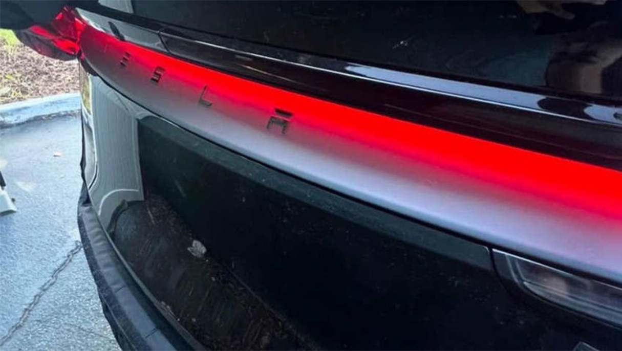 2025 Tesla Model Y (Image: X/Teslaeconomics)