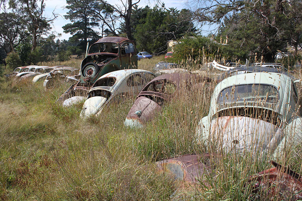 If you visit Flynn's you might have to watch out for bugs. Sorry. (image credit: jeremyg3030 - image from: Wikimedia Commons)