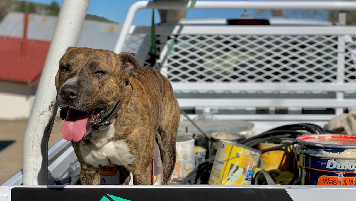 The Ranger is popular with Peter&#039;s whole family.