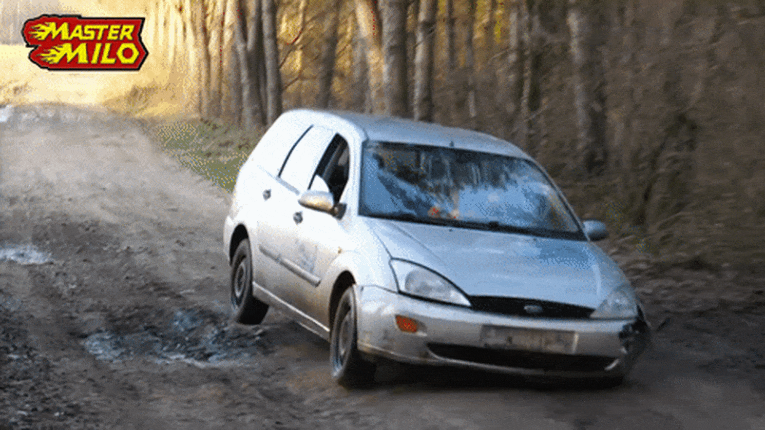 Focus-GIF.gif Focus-GIF.gif
