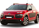 C4 Cactus