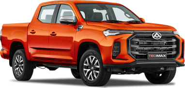 Complete guide to LDV T60