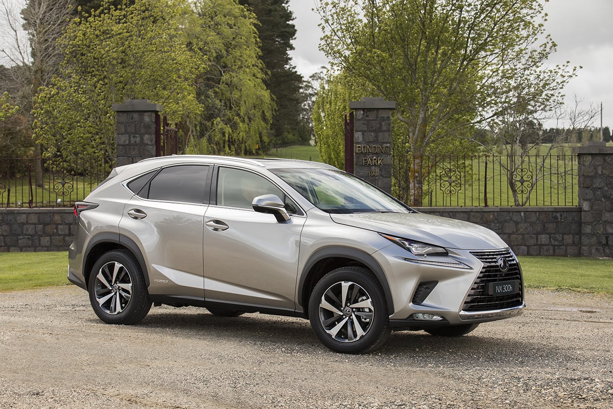 Lexus nx sport