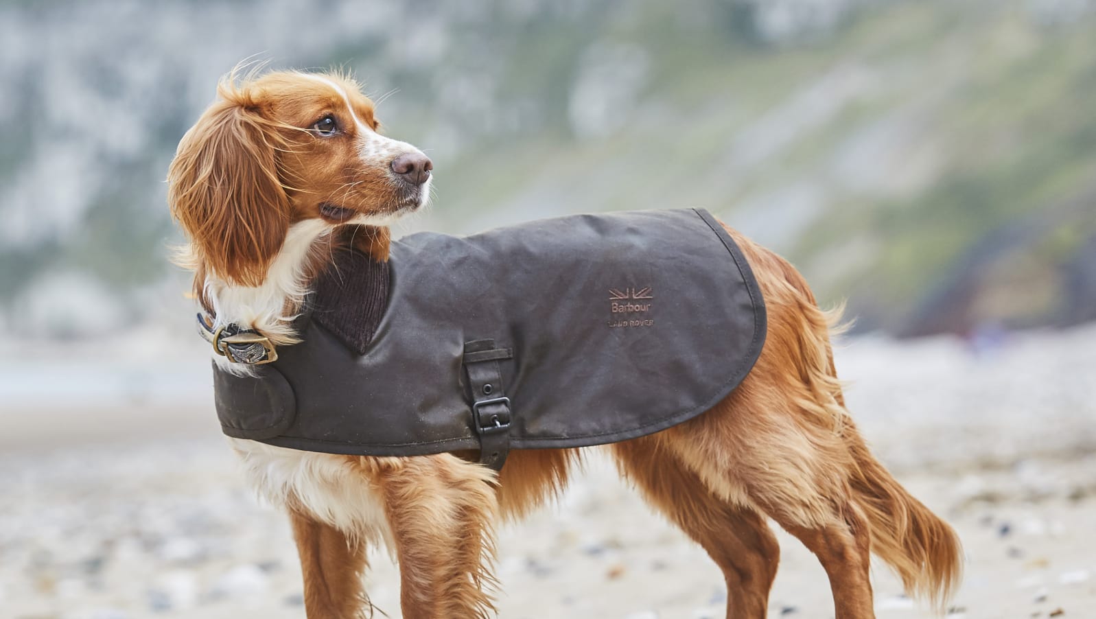 barbour landrover dog coat