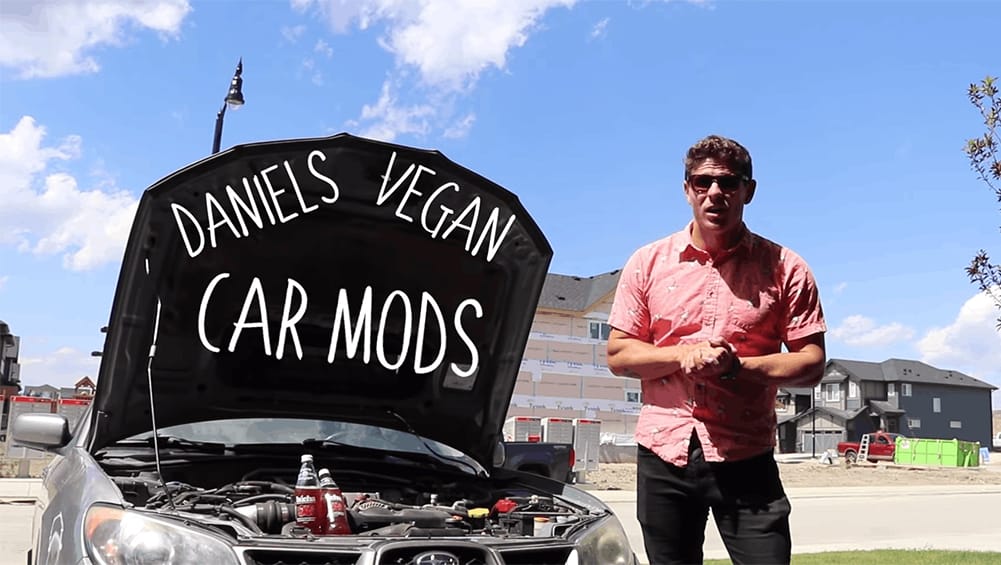 Here's a stepbystep guide to making your car veganfriendly