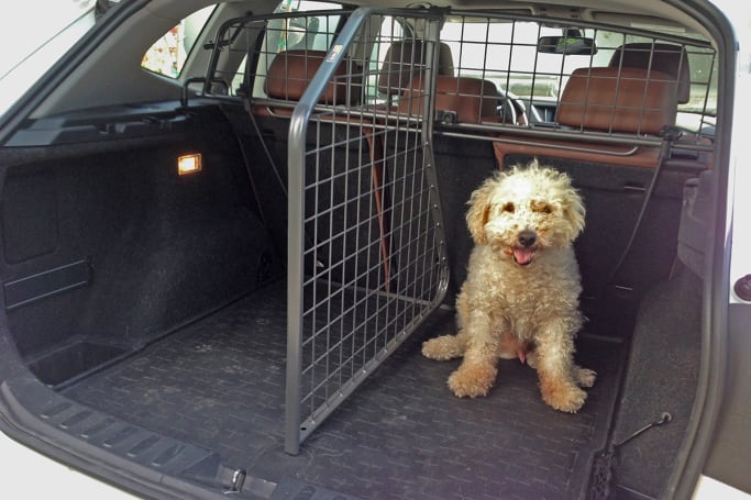 boot dividers in cars for dogs