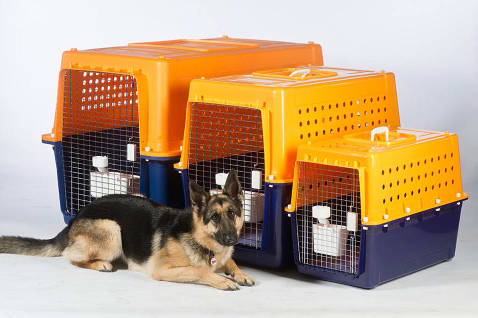 Cheap dog deals travel crates