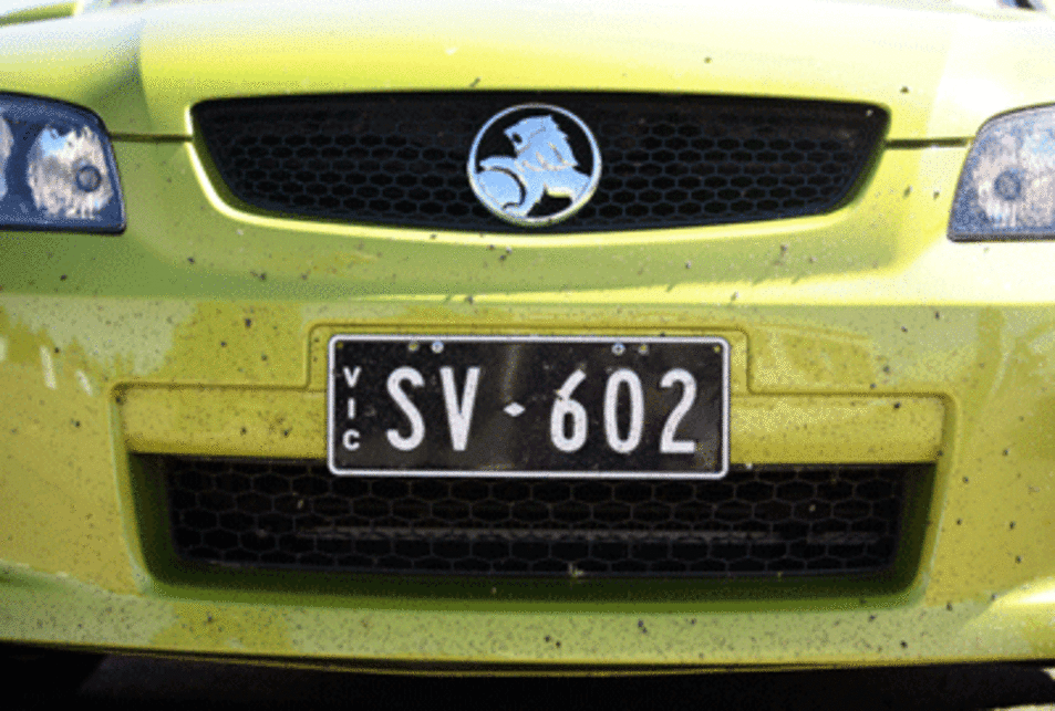 Holden SV6 Ute
