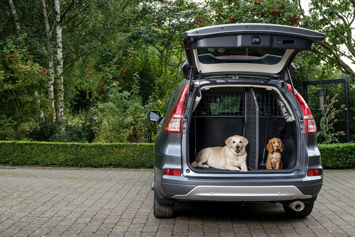 Car seat shop divider for dogs