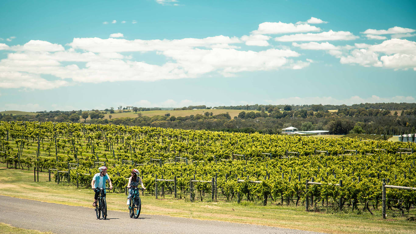 hunter valley twilight tour