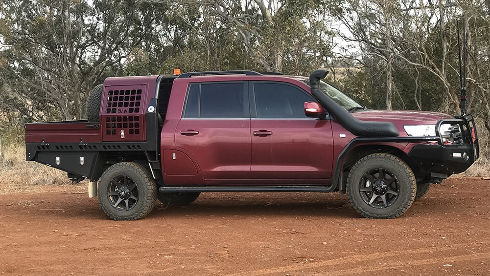 Dog Cage for Ute What Dog Box Should I Buy for my Ute CarsGuide